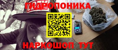 стаф Берёзовский