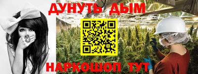 стаф Берёзовский