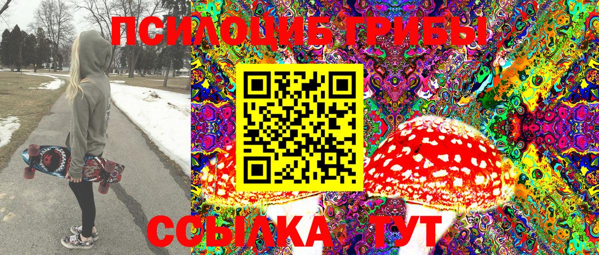 Псилоцибиновые грибы Psilocybine cubensis Щёлково